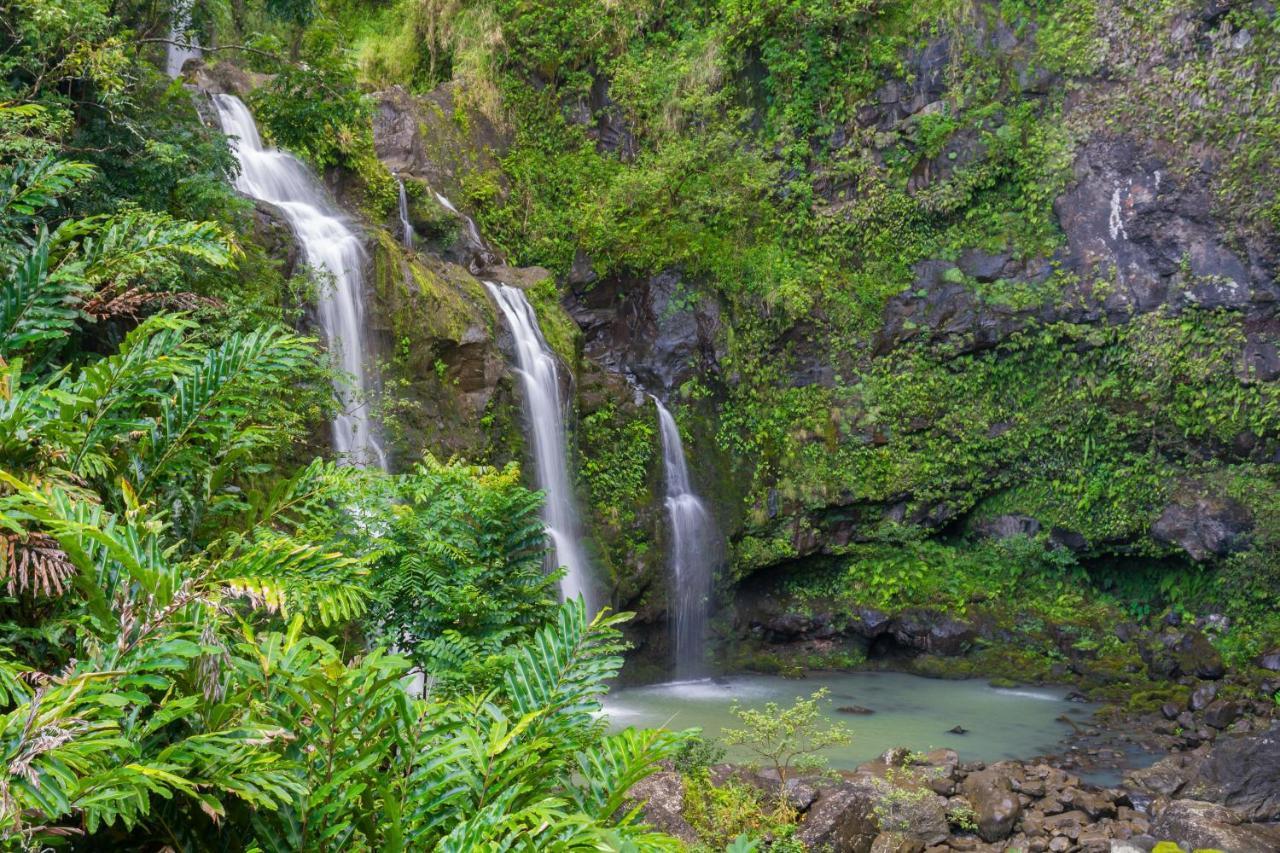 Kaleialoha 213 Villa Lahaina Eksteriør bilde